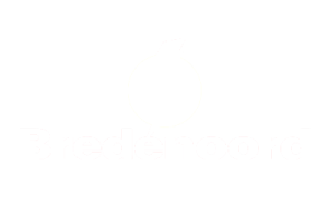 Bredenoord